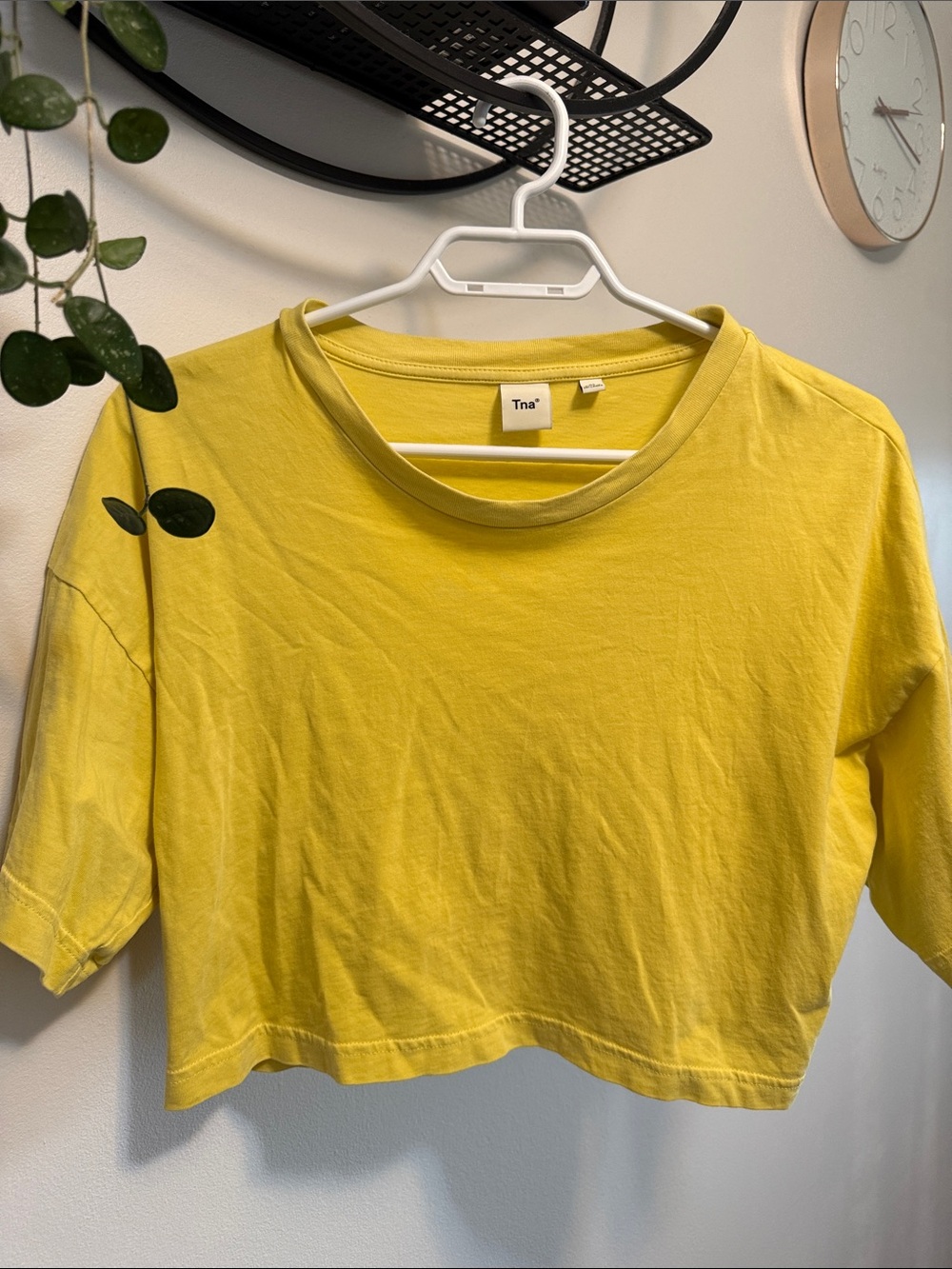 Tna Cropped Boxy Tee in Yellow